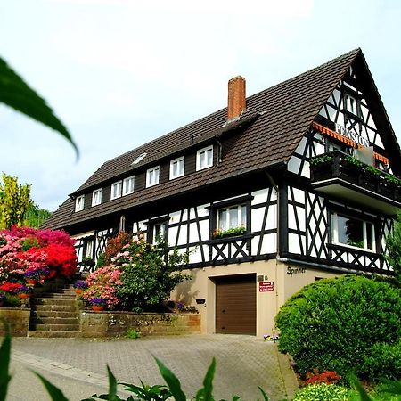 Pension Am Weinberg Sasbachwalden Esterno foto