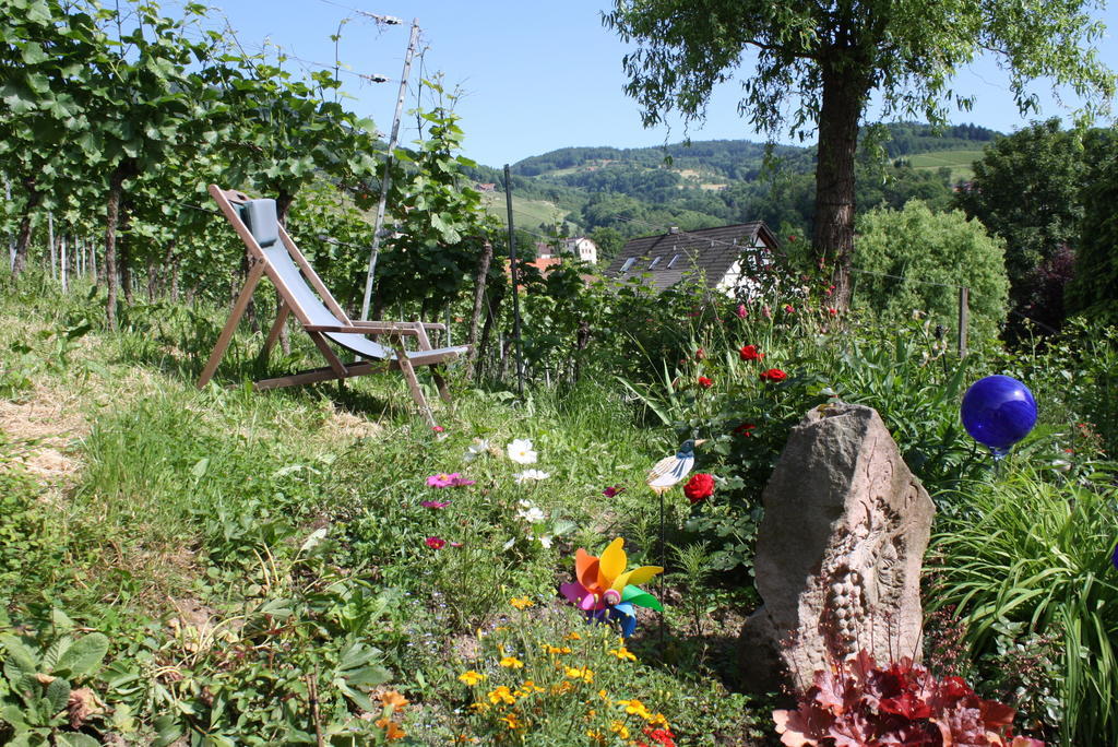 Pension Am Weinberg Sasbachwalden Esterno foto
