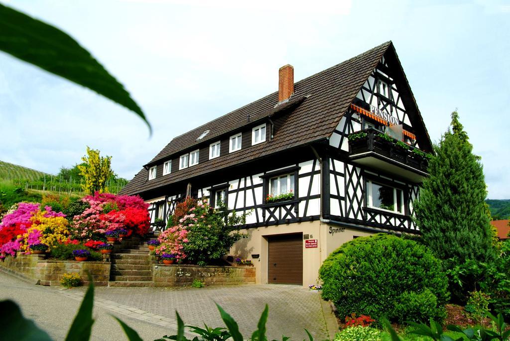 Pension Am Weinberg Sasbachwalden Esterno foto