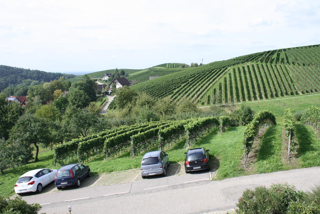Pension Am Weinberg Sasbachwalden Esterno foto